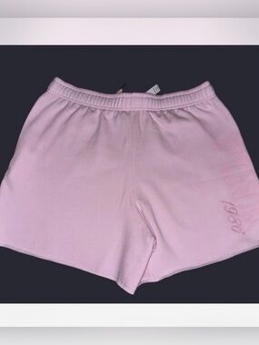 NWT VS Victoria's Secret PINK shorts Size XL.